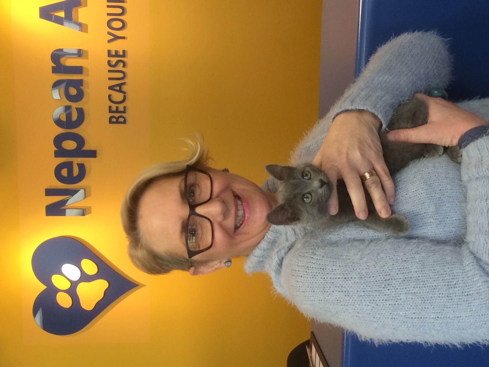 IMG_1113 WellPet Vets