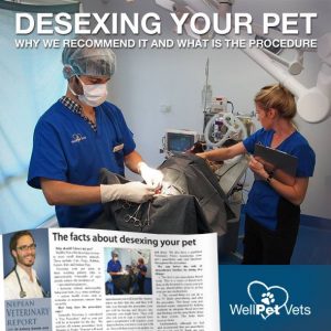 THE FACTS ABOUT DESEXING YOUR PET