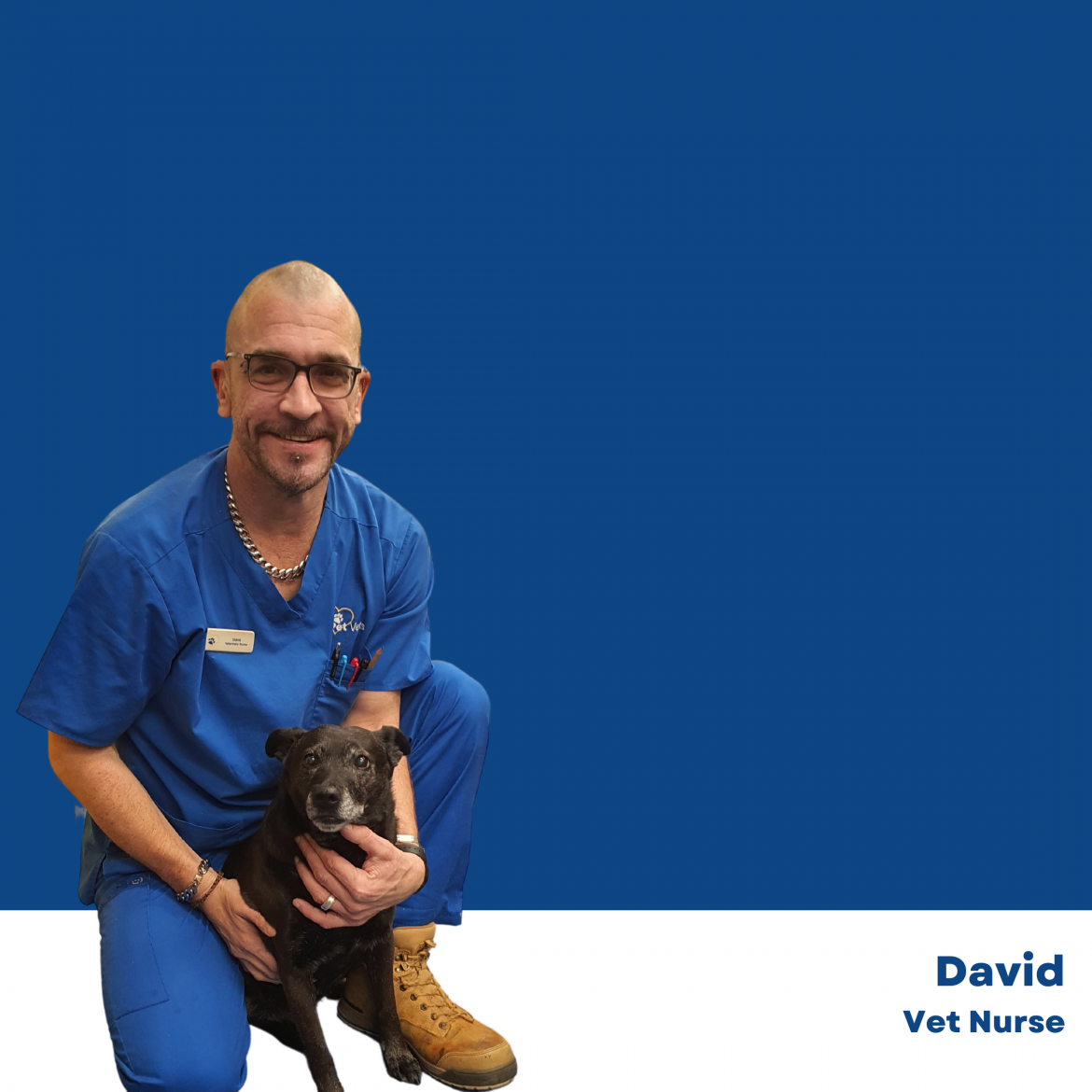 David WellPet Vets